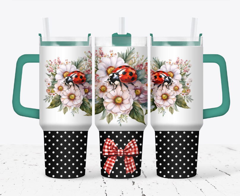 Polka dotted bottom lady bug