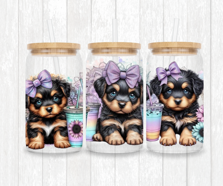 Rottweiler puppies