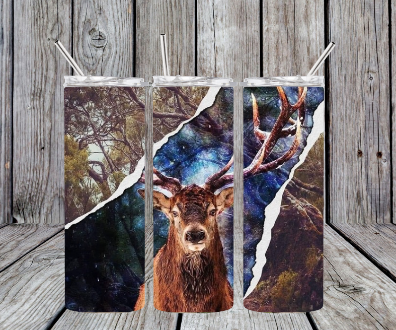 Buck with camp split and blue background
