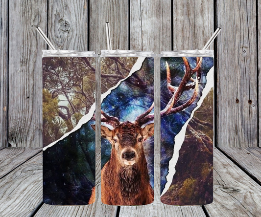 Buck with camp split and blue background