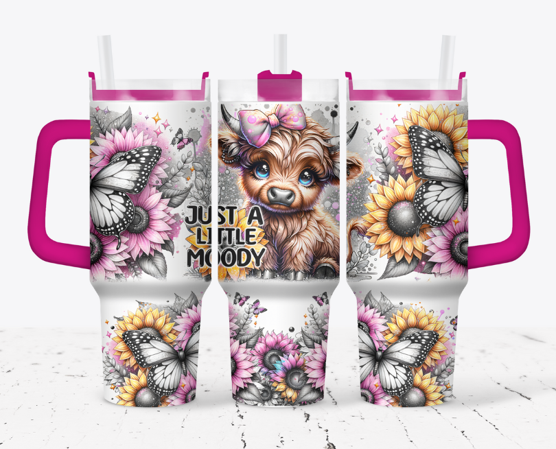 Just a little moody blonde highland cow with pink and yellow sunflowers