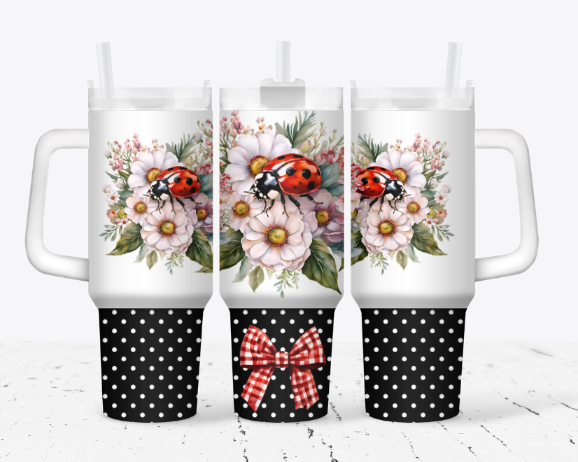 Polka dotted bottom lady bug