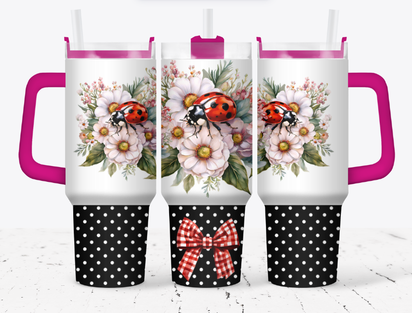 Polka dotted bottom lady bug