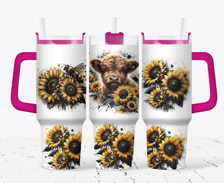 Highland cow with a bee